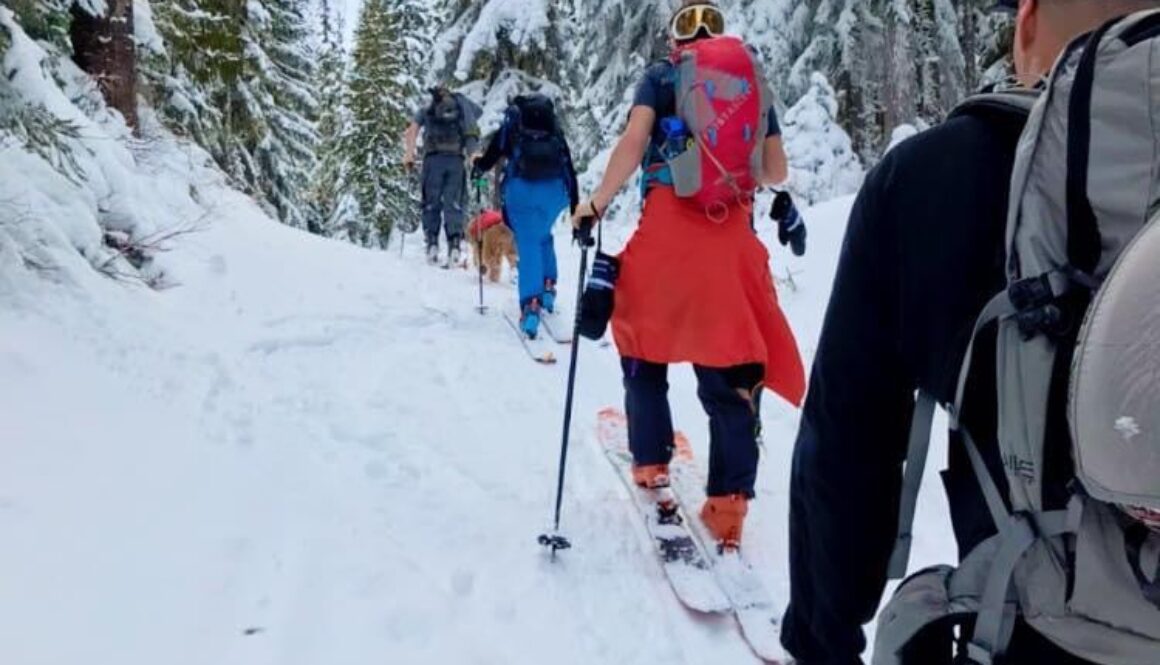 line of people cross country skiing in the snow